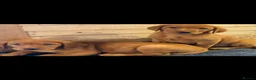 Labrador Retriever dogs for sale: Fox red Labrador  - Advert 4