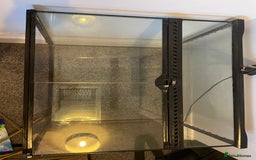 Corn Snake reptiles for sale: Corn Snake&Set Up - Advert 7