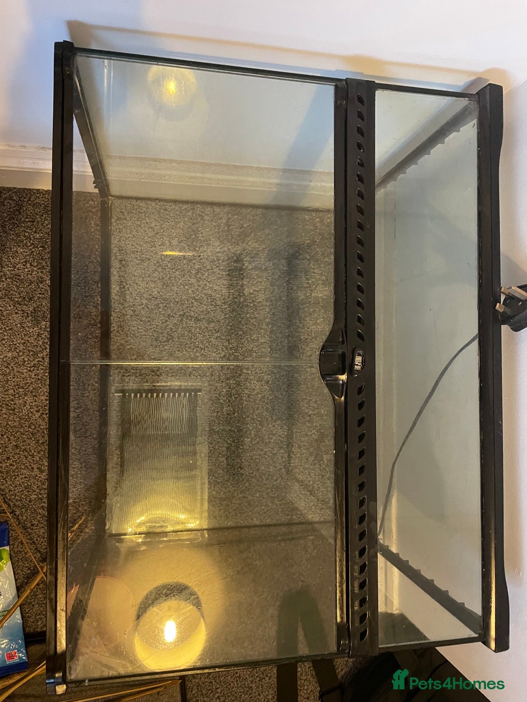 Corn Snake reptiles for sale: Corn Snake&Set Up - Advert 7