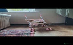 Mixed Breed cats for sale: 1 beautiful female kitten left - Image 3