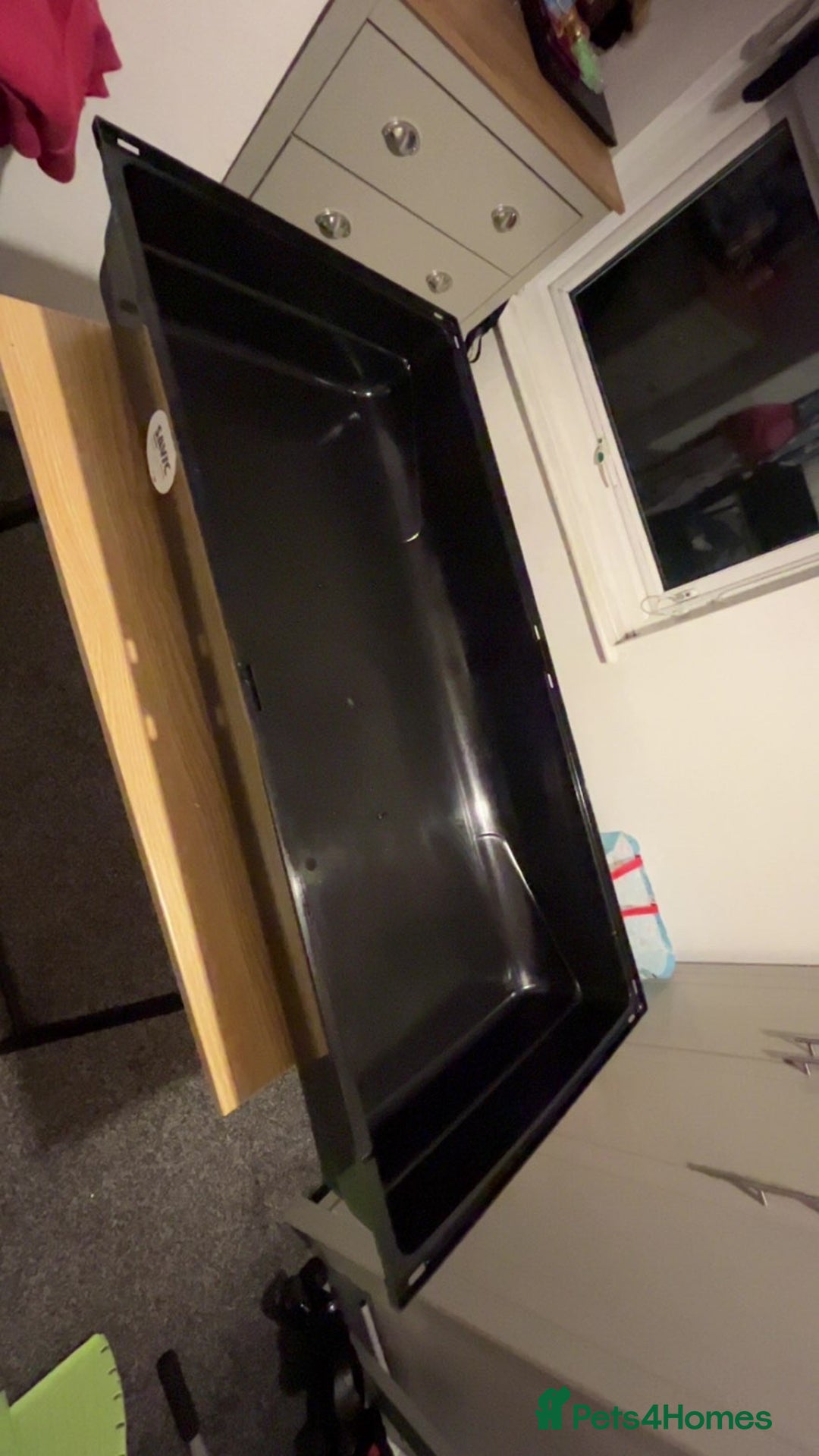 Hamster rodents for sale: 2 male gerbils - Image 1