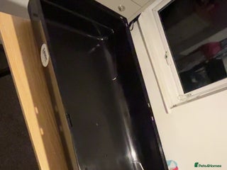 Hamster rodents for sale - Advert 1