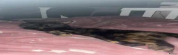 Mixed Breed cats for sale: 4 beautiful kittens for sale  in Hereford - Advert 1