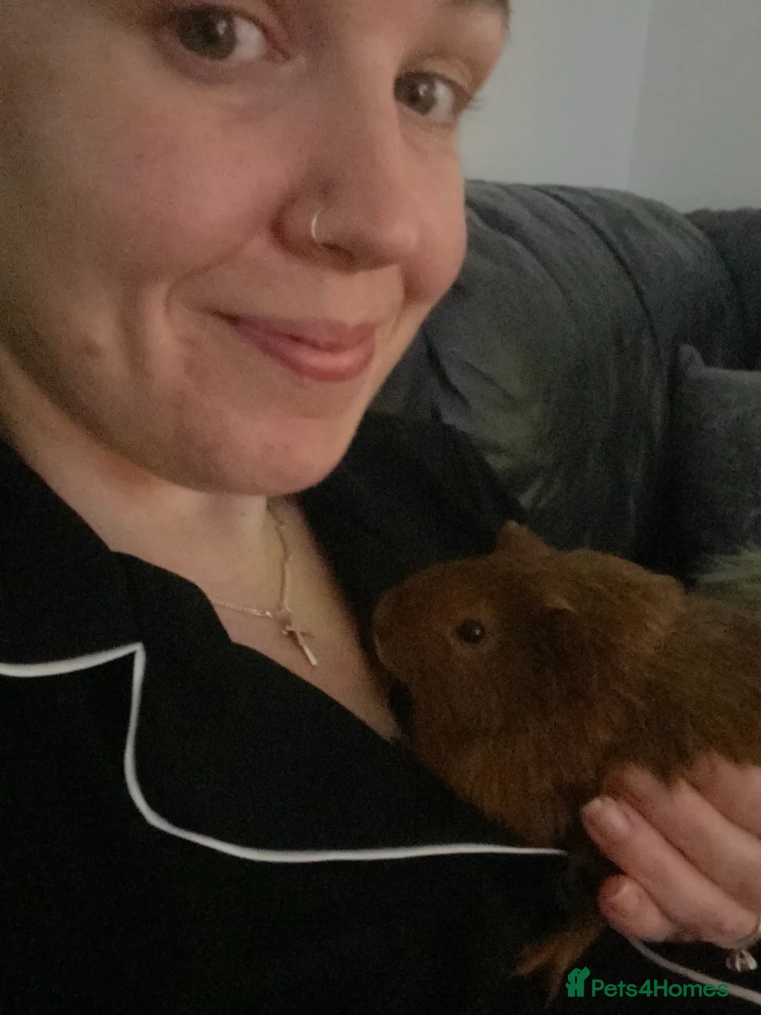 Gallery Image {{count}}