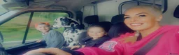 Dalmatian dogs for sale: Boss 4yr old dalmation in Waterlooville - Advert 17