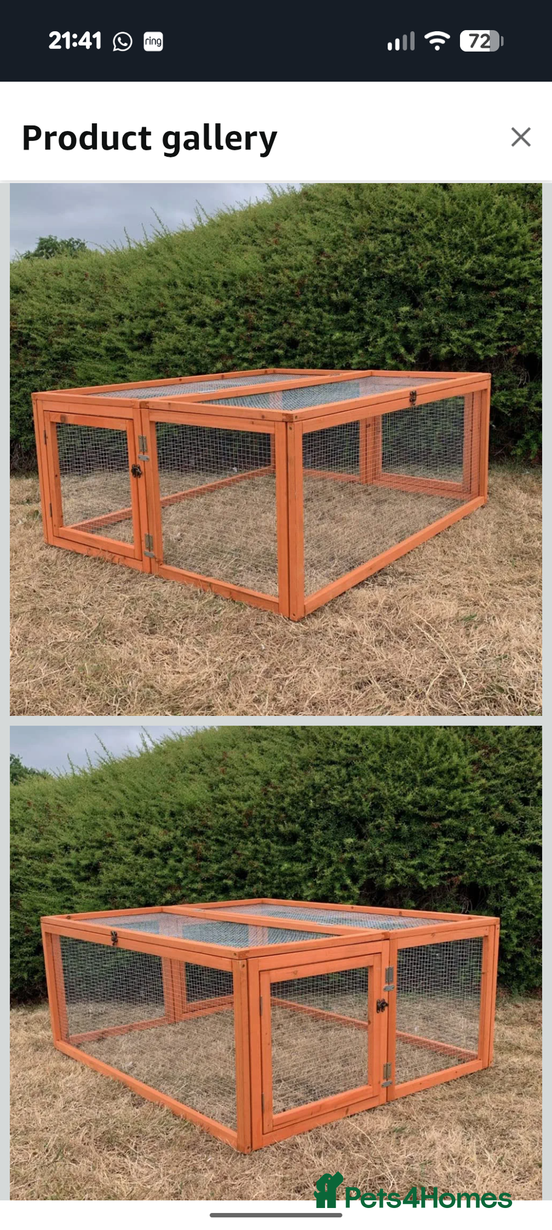 Mixed Breed rabbits for sale: Rabbit with full set up - Advert 3