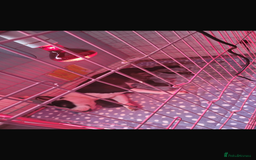 Staffordshire Bull Terrier dogs for sale: Staffy puppies  - Advert 1