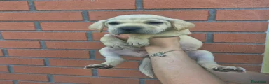 Female 5