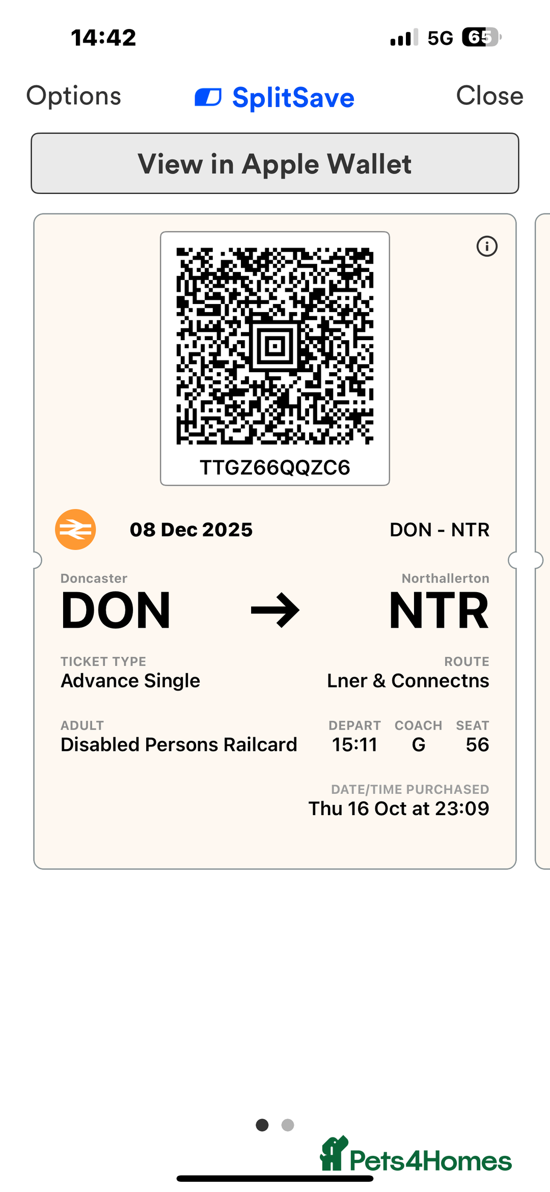 Cockapoo dogs for sale: Mini F1 cockpoos - Advert 3