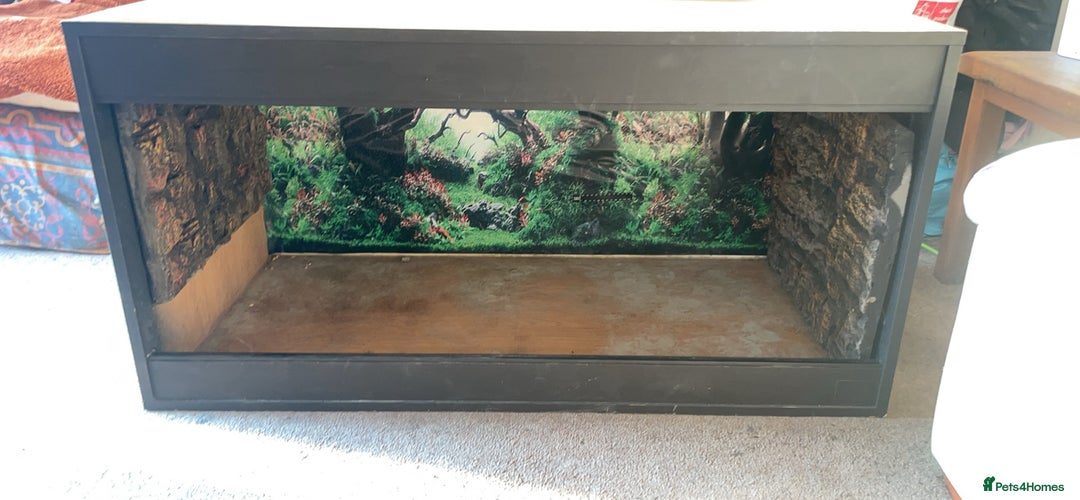 Bearded Dragon reptiles for sale: 4 ft Vivarium  - Image 1
