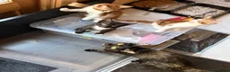 Mixed Breed cats for sale: Cat adoption  in Feltham - Advert 8