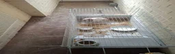 Mini Lop rabbits for sale: Mini Lop 4 months old needs adopting asap in Cardiff - Advert 1