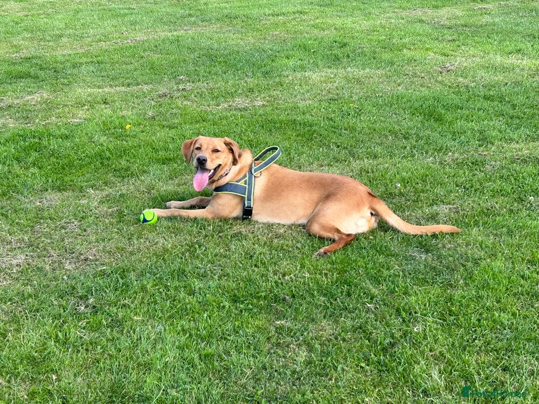 Gallery Image {{count}}