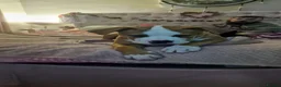 American Bulldog dogs for sale: American Bulldog boy puppy in Swansea - Advert 7
