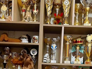 Dachshund dogs Dachshund - Advert 2