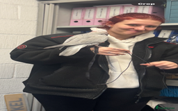 Cockatoo birds for sale: Skye galah cockatoo - Image 4