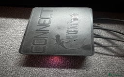 Snake reptiles for sale: Hognose snake and set up - Image 5