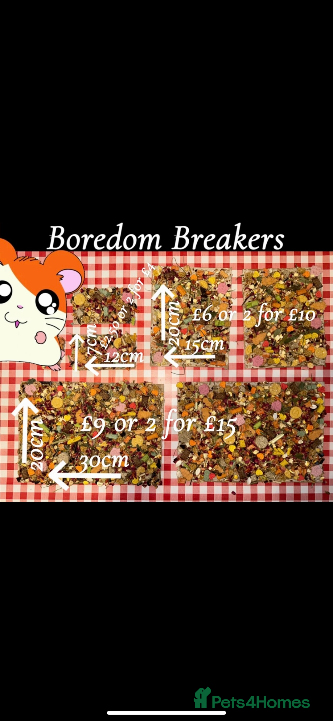 Hamster rodents for sale: Baby hamsters - Advert 2