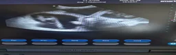 Golden Retriever dogs for sale:  Show & Field Champion Heritage due june  - Advert 4