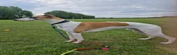 Whippet dogs for sale: Beautiful whippet puppies looking for new home in Swindon - Advert 3