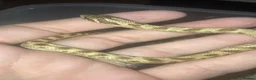 Snake reptiles for sale: Hognose’s available now 🐍🐍 Conda Quad hets - Advert 4