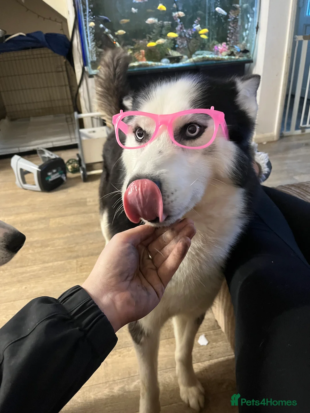 Gallery Image {{count}}