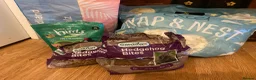 Pygmy Hedgehog rodents for sale: Hand Tame Pygmy Hedgehog with cage & accessories  - Advert 21
