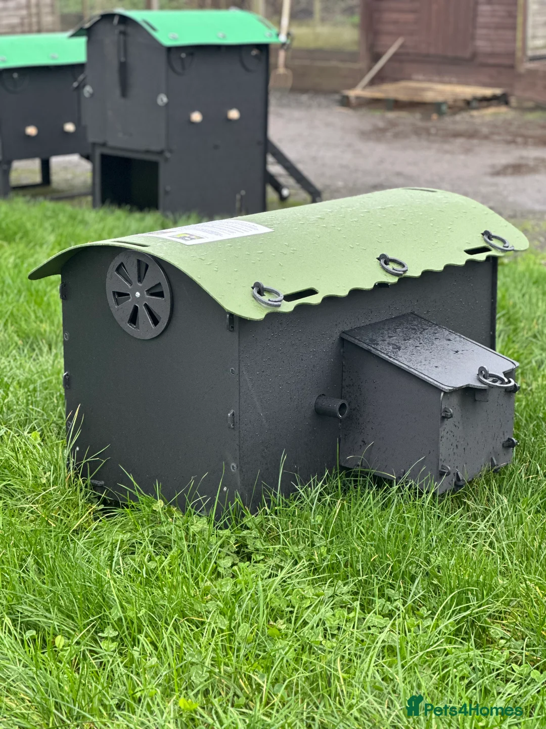 Mixed Breed poultry for sale: Mini Hen Coop - Recycled - 3/4 Birds - Advert 4