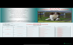 Sprocker dogs for sale: Beautiful sprocker puppies  - Image 12