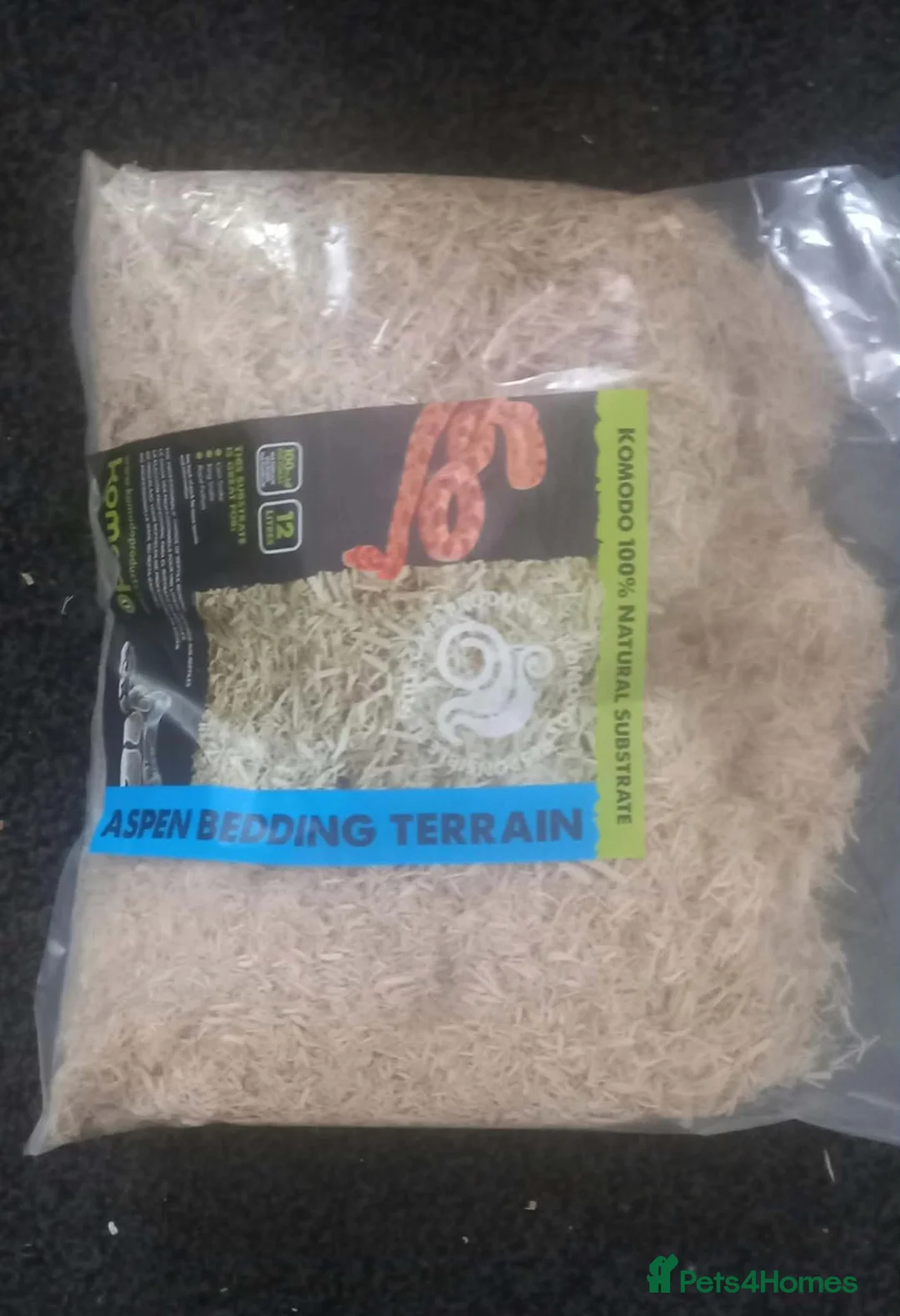 Corn Snake reptiles for sale: Albino corn snake in Barnsley - Advert 3