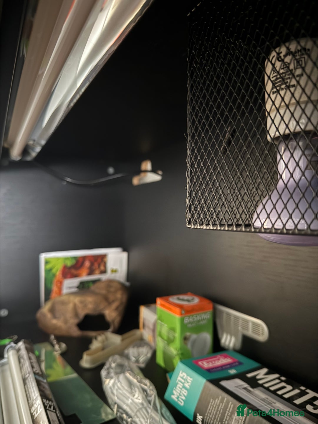 Mixed Breed reptiles for sale: Medium vivexotic vivarium & equipment. - Image 7