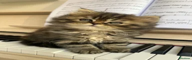 Persian 4