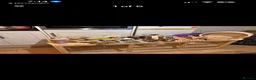 Hamster rodents for sale: Syrian hamster and set up - Advert 4