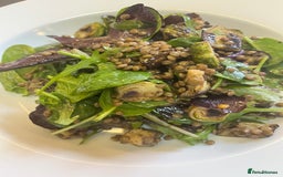 Siberian cats for sale: Pure Neva Masquerade Siberian - Image 2