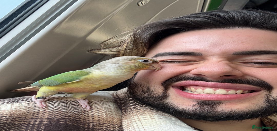 Gallery Image {{count}}