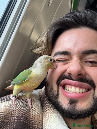 Gallery Image {{count}}