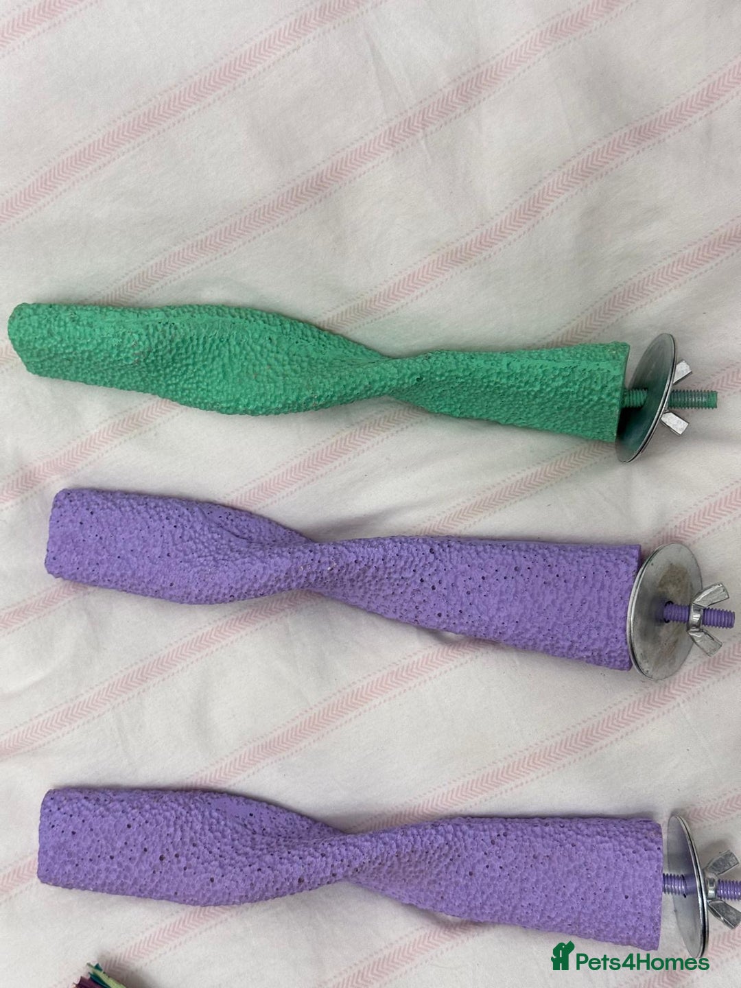 Budgerigars birds for sale: TCB, BW, Spilt BF ,spilt helicopter baby budgies  - Advert 13