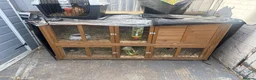 Guinea Pig rodents for sale: Guinea pig for sale two female and hutch  - Advert 1