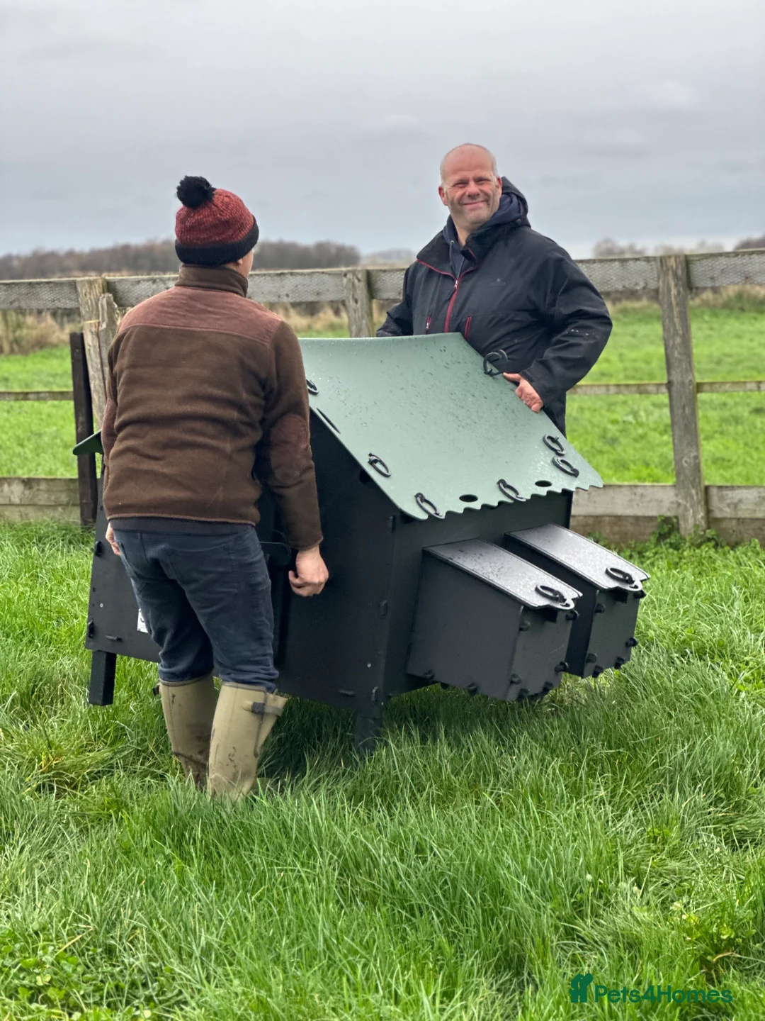 Mixed Breed poultry for sale: Smart Hen House - Recycled - 10/12 Hens - Advert 9