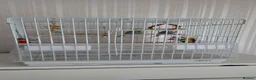 Budgerigars birds for sale: Two budgies with cage in Caerphilly - Advert 1
