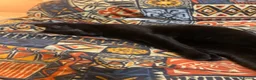 Mixed Breed cats for sale: 2 lovely black kittens - Advert 5