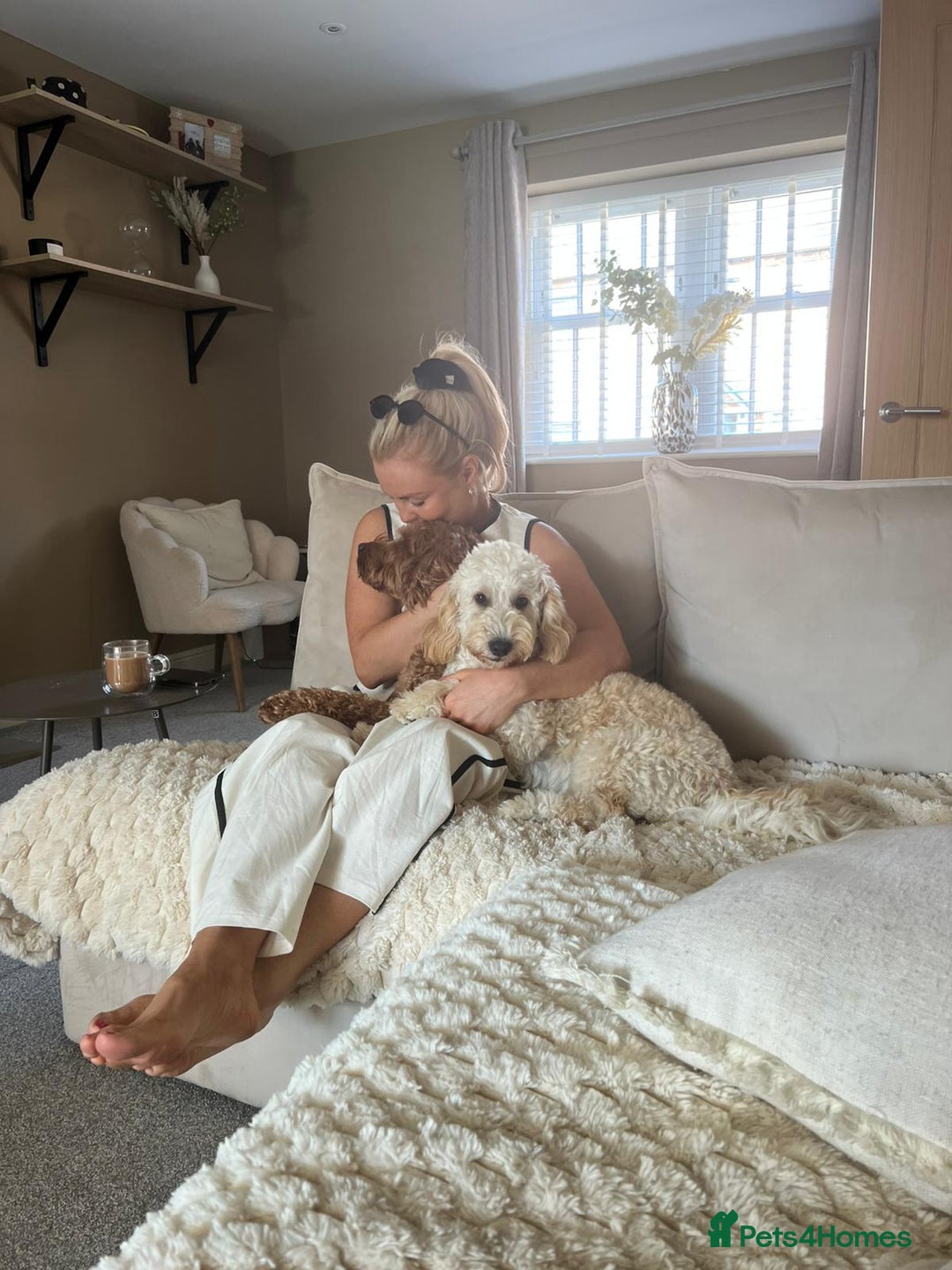 Cockapoo dogs for sale: 5 yr old Cockapoo & 1 year old Cockapoo - Image 4