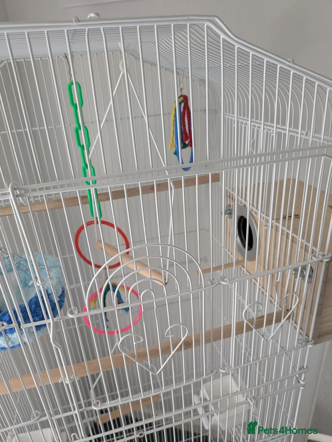 Mixed Breed birds for sale: Bird cage for sale. XXL BRAND NEW accessories Inc. in Dartford - Advert 2