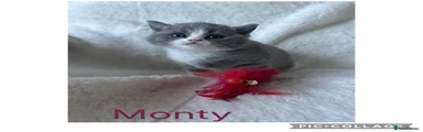 Monty