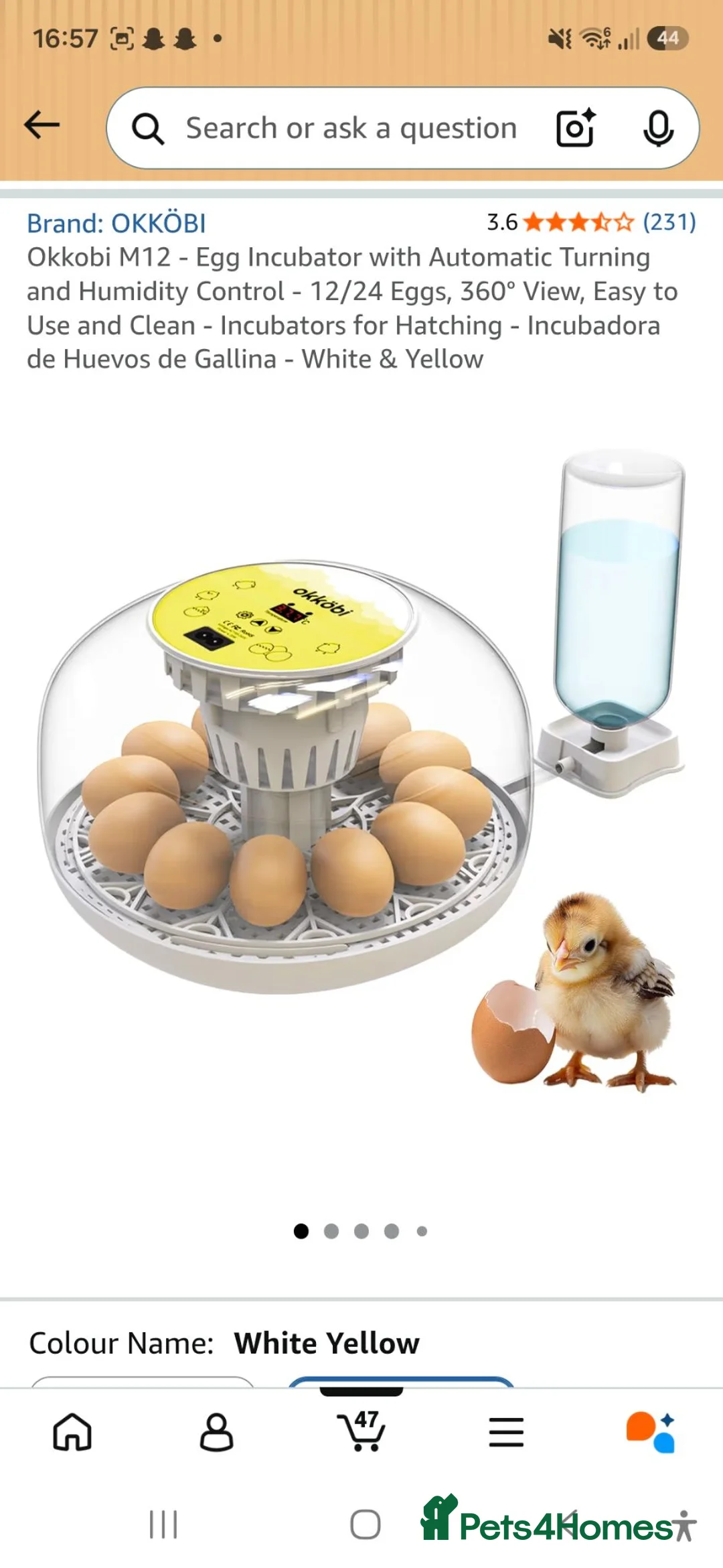 Chickens poultry for sale: Chick starter kit - Advert 12