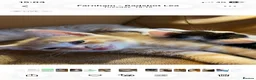 Mixed Breed cats for sale: Beautiful dog friendly kittens  - Advert 4