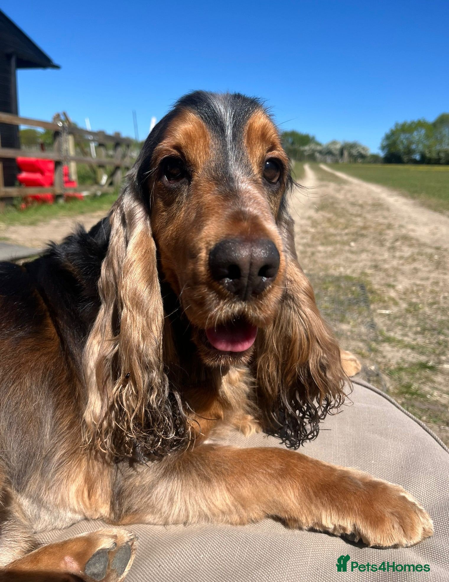 Milo