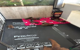 Borador dogs for sale: Gorgeous litter of chocolate Labrador cross pups  - Image 2