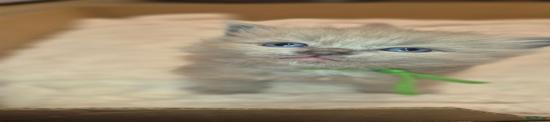 Green Collar BLUE SEPIA