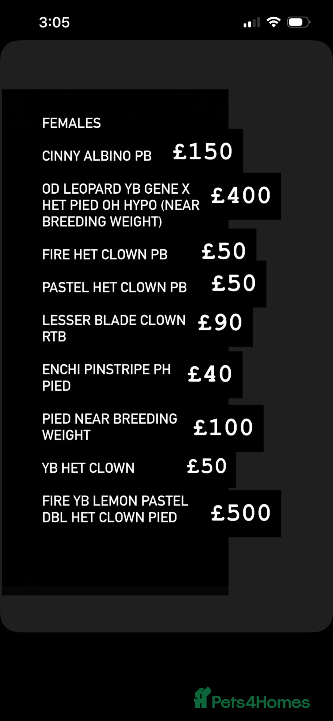 Python Snake reptiles for sale: Collection for sale in Basingstoke - Advert 2